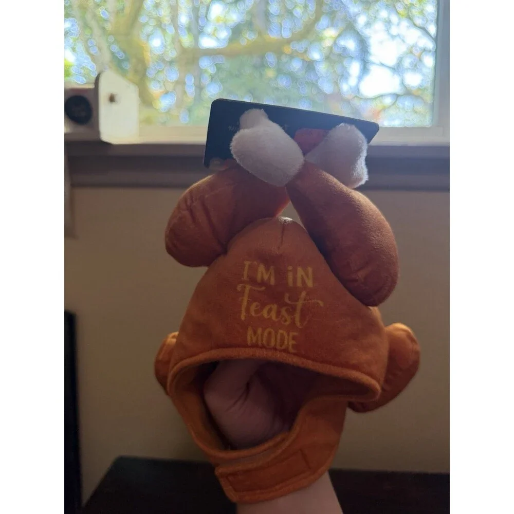 I Am In Fest Mode Dog Thanksgiving Turkey Hat NWT Size S/M - Picture 5 of 8